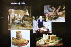 Z mlieka kráv, kôz a oviec sa vyrábali rôzne výrobky, ako tvaroh (?), syry či maslo.